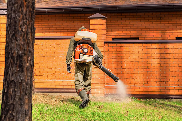 Trusted Cockroach Control service in Pageland, SC - Nex Pest Control